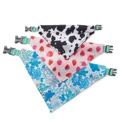 Honey Hollow | Dog Bandana 8 Honey Hollow | Dog Bandana -Accessories Series DogBandana Group 2 2c701217 a62a 4793 9e2a ff6ac7f76c32