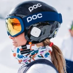 Berry Patch | Snow Tour