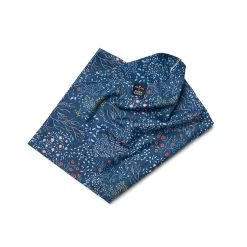 Frosty Ranunculus | Snow Tour -Accessories Series SNOWT WildRye Blue 2