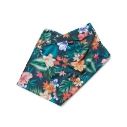 Party Wave | Snow Tour -Accessories Series ST Aloha 2