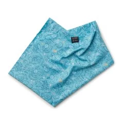 Bristol Bloom | Snow Tour -Accessories Series ST BristolBloom SalmonSisters 2