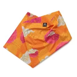 Fulbaari | DZi | Sun Tour 8 Fulbaari | DZi | Sun Tour -Accessories Series ST dzi 2