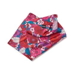 Chickadee | Snow Tour -Accessories Series WT Chickadee 2